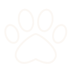 Paw print icon